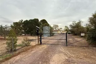 33979 Fremont Rd, Newberry Springs, CA 92365 - Photo 3