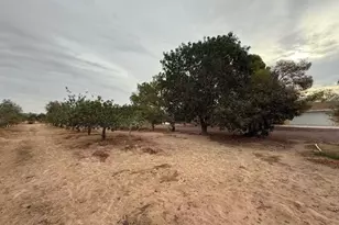 33979 Fremont Rd, Newberry Springs, CA 92365 - Photo 3