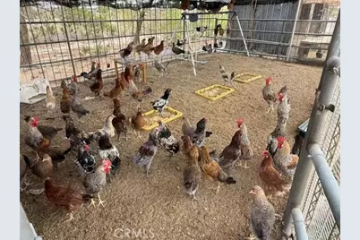 33979 Fremont Rd, Newberry Springs, CA 92365 - Photo 13