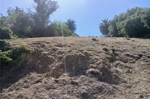 1087 Oneonta Dr, Los Angeles, CA 90065 - Photo 1