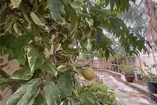 13925 Barnett Ln, Eastvale, CA 92880 - Photo 55