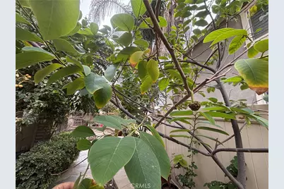 13925 Barnett Ln, Eastvale, CA 92880 - Photo 57