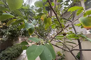 13925 Barnett Ln, Eastvale, CA 92880 - Photo 57