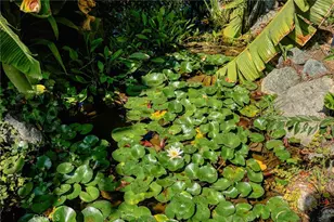 470 W Duarte, Arcadia, CA 91007 - Photo 35