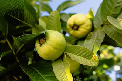 4607 Earle Avenue, Rosemead, CA 91770 - Photo 17