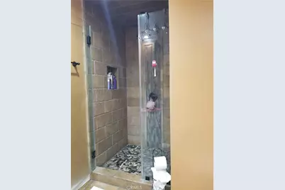 145 W 66th Street, Los Angeles, CA 90003 - Photo 9