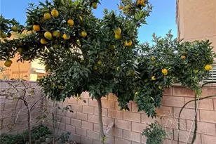 4863 S Bountiful Trail, Ontario, CA 91762 - Photo 15