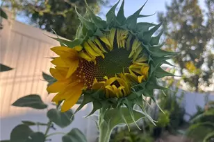 1662 Palermo, Riverside, CA 92507 - Photo 21