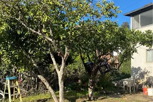 1129 N Alma Ave, Los Angeles, CA 90063 - Photo 25