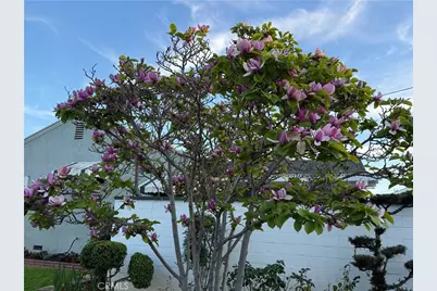 2001 Fernbank, Monterey Park, CA 91754 - Photo 5