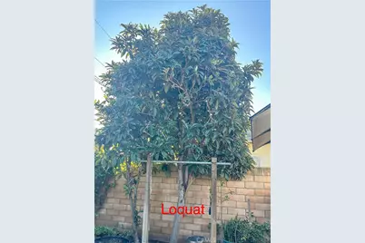 2202 Paso Real Avenue, Rowland Heights, CA 91748 - Photo 37