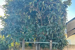 2202 Paso Real Ave, Rowland Heights, CA 91748 - Photo 37