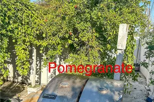 2202 Paso Real Ave, Rowland Heights, CA 91748 - Photo 35