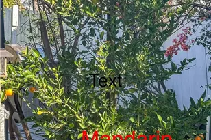 2202 Paso Real Ave, Rowland Heights, CA 91748 - Photo 33