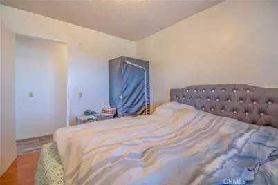 60645 Lupin Lane, Anza, CA 92539 - Photo 33