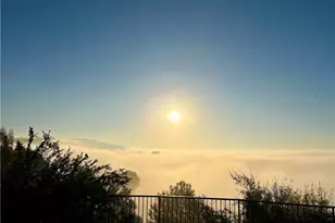 918 Dorothea Rd, La Habra Heights, CA 90631 - Photo 41