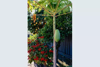 3817 Athol, Baldwin Park, CA 91706 - Photo 37