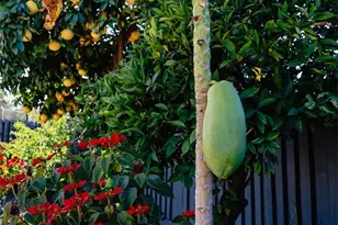 3817 Athol, Baldwin Park, CA 91706 - Photo 37