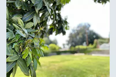 9942 Dr Howland, Temple City, CA 91780 - Photo 63