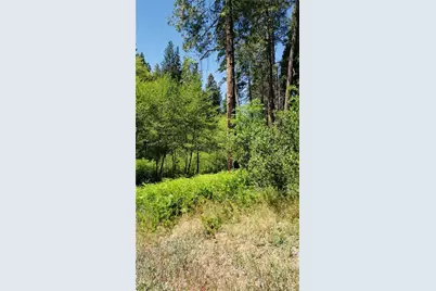 29531 Little Bear Creek Road, Cedar Glen, CA 92321 - Photo 3