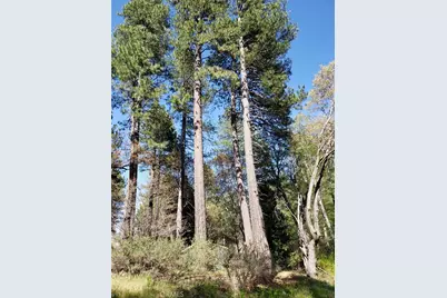 29531 Little Bear Creek Road, Cedar Glen, CA 92321 - Photo 1