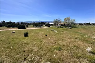 9616 Schlitz, Phelan, CA 92371 - Photo 19