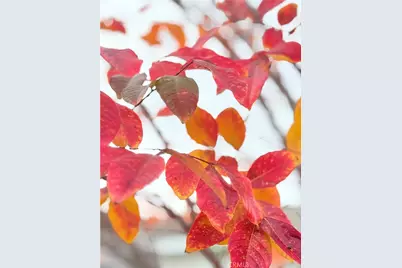 22141 Comanche, Lake Forest, CA 92630 - Photo 49