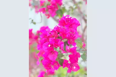 22141 Comanche, Lake Forest, CA 92630 - Photo 47