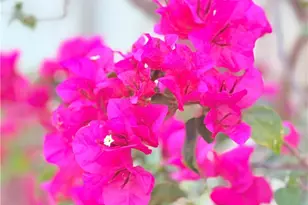 22141 Comanche, Lake Forest, CA 92630 - Photo 47