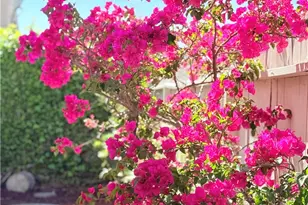 22141 Comanche, Lake Forest, CA 92630 - Photo 45