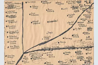 2821 Ilopango, Hacienda Heights, CA 91745 - Photo 65