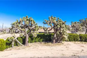 7411 Joshua Ln, Yucca Valley, CA 92284 - Photo 31