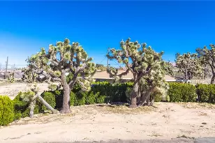 7411 Joshua Ln, Yucca Valley, CA 92284 - Photo 31
