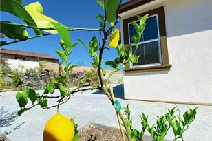 18383 Tecate St, Chino Hills, CA 91709 - Photo 9