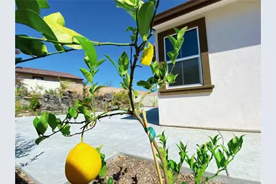 18383 Tecate Street, Chino Hills, CA 91709 - Photo 11