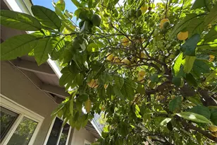 1033 S Isabella, Monterey Park, CA 91754 - Photo 29