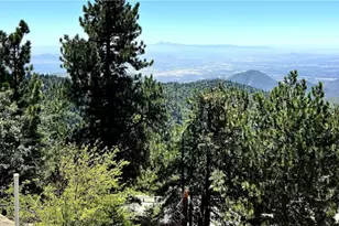 1834 Nob Hill, Running Springs, CA 92382 - Photo 41