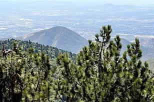 1834 Nob Hill, Running Springs, CA 92382 - Photo 45