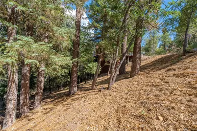 43326 Shasta Road, Big Bear Lake, CA 92315 - Photo 27