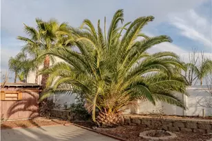 105 Galileo Ln, Perris, CA 92571 - Photo 71