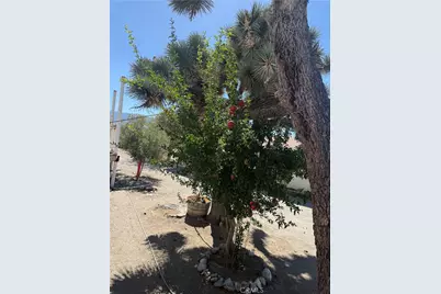3123 Del Rosa Rd, Phelan, CA 92371 - Photo 21