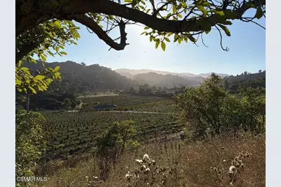 3316 Aliso Canyon Road, Santa Paula, CA 93060 - Photo 1