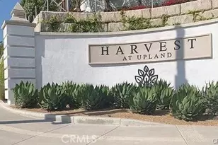 2305 Strawberry Ct, Upland, CA 91786 - Photo 1