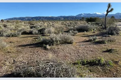 206 X9 206 S Vic Ave, Llano, CA 93544 - Photo 1