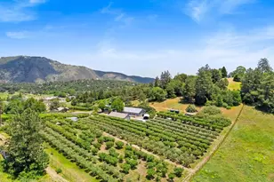 2645 Apple Ln, Julian, CA 92036 - Photo 1