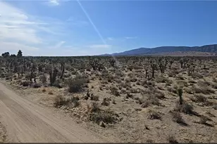 22000 Ave X, Llano, CA 93544 - Photo 1