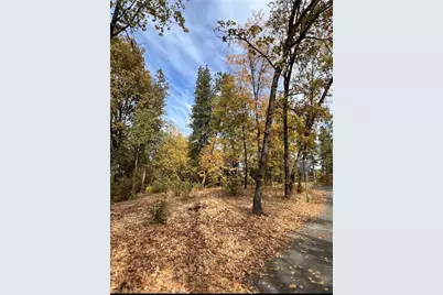 54692 Bluegill, Bass Lake, CA 93604 - Photo 1