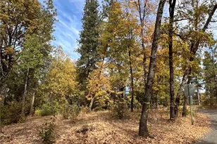 54692 Bluegill, Bass Lake, CA 93604 - Photo 1