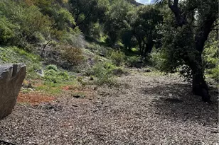 1 Latigo Canyon Rd, Malibu, CA 90265 - Photo 1