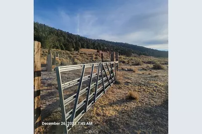 2750 Erwin Ranch Road, Big Bear City, CA 92314 - Photo 1